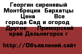 Георгин сиреневый. Монтбреция. Бархатцы.  › Цена ­ 100 - Все города Сад и огород » Другое   . Приморский край,Дальнегорск г.